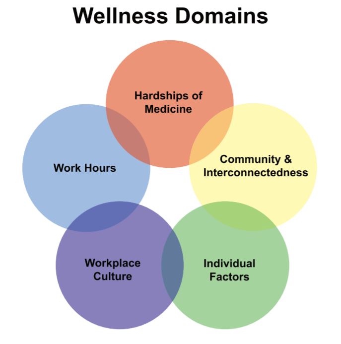 wellness-domains-for-residency-training-programs-journal-of-wellness